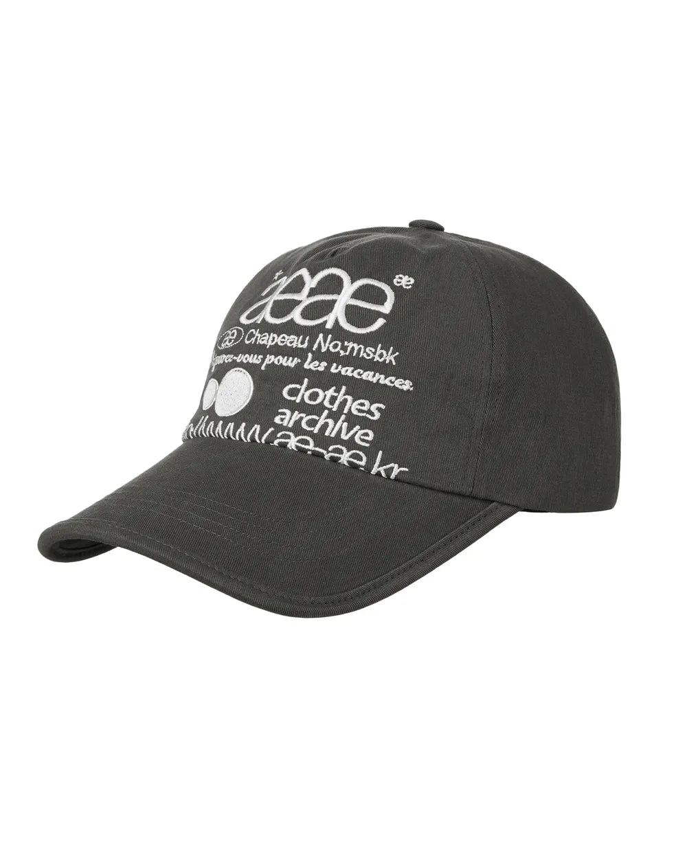 AEAE WEB LOGO 5 PANNEL BALL CAP (CHARCOAL)