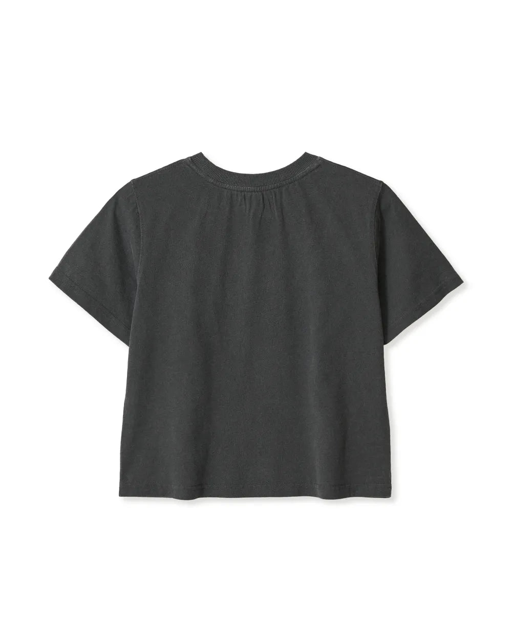 AEAE WEB LOGO CROP T-SHIRTS (CHARCOAL)