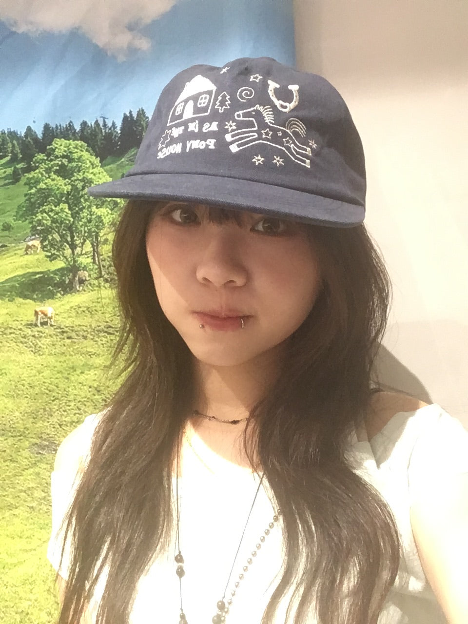 pony house cap (navy)