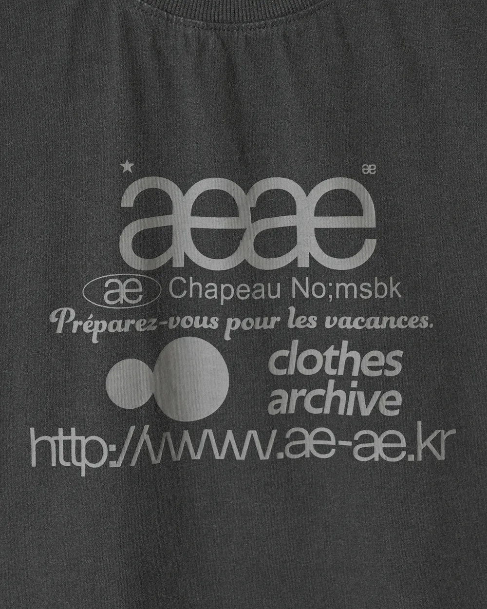 AEAE WEB LOGO CROP T-SHIRTS (CHARCOAL)