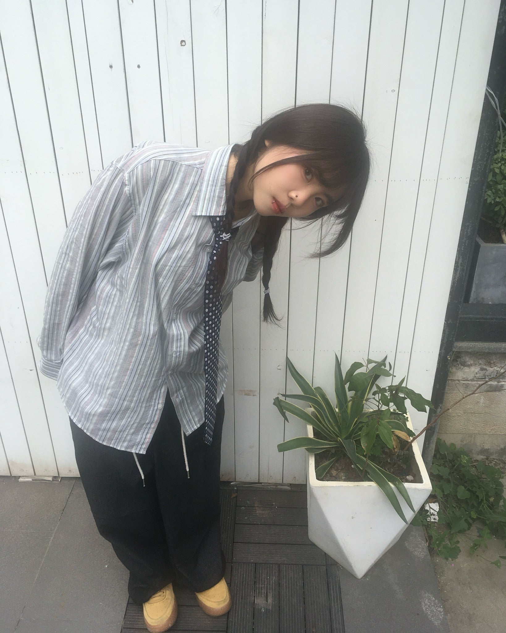 striped crop shirt (blue)