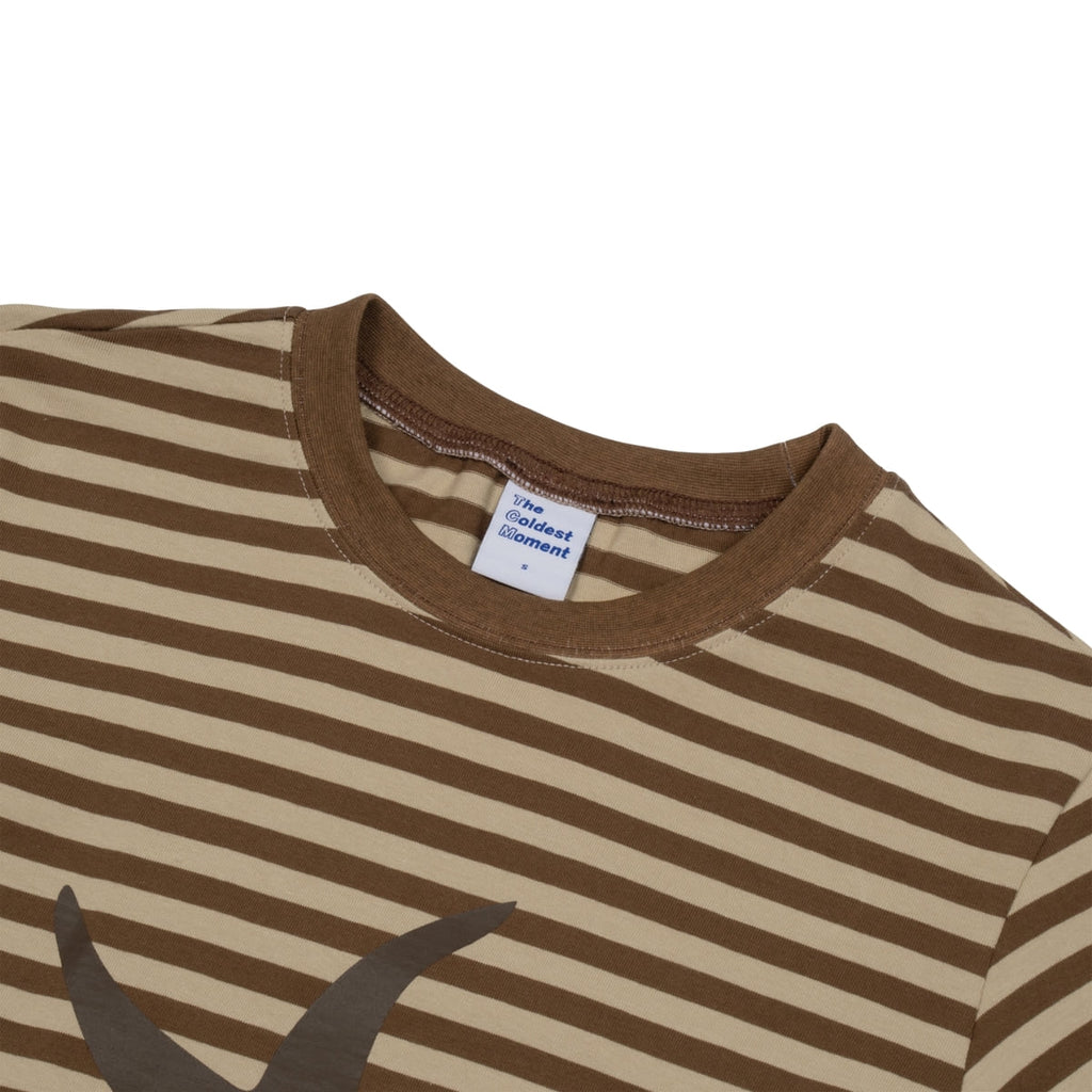 TCM STARFISH STRIPE TEE (BROWN)
