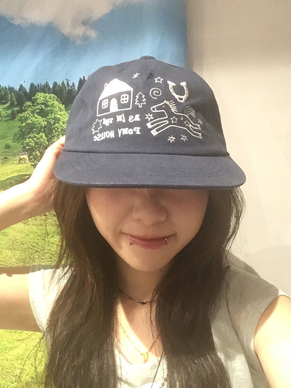 pony house cap (navy)