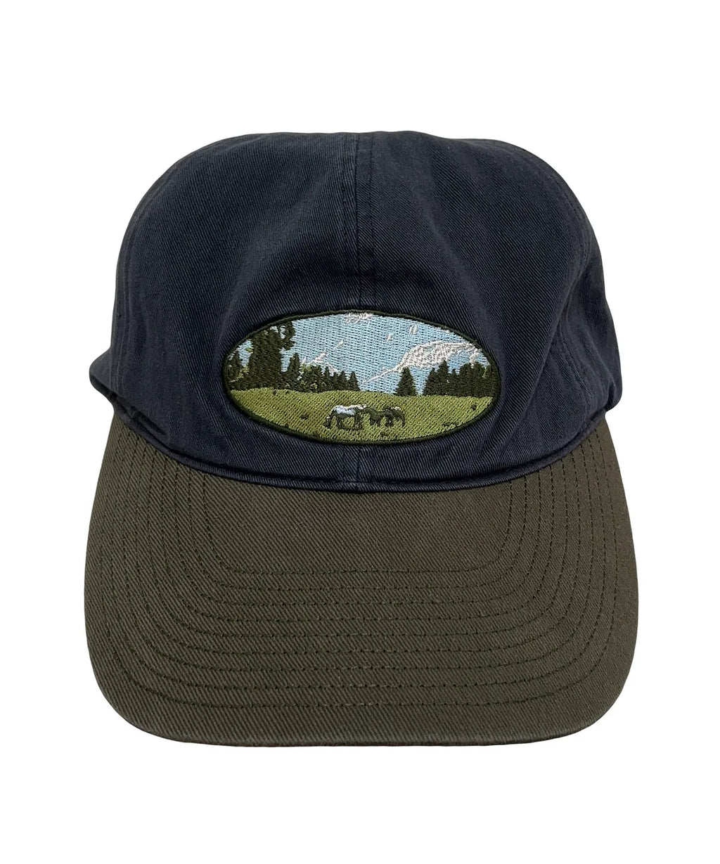 TCM filed cap (navy)