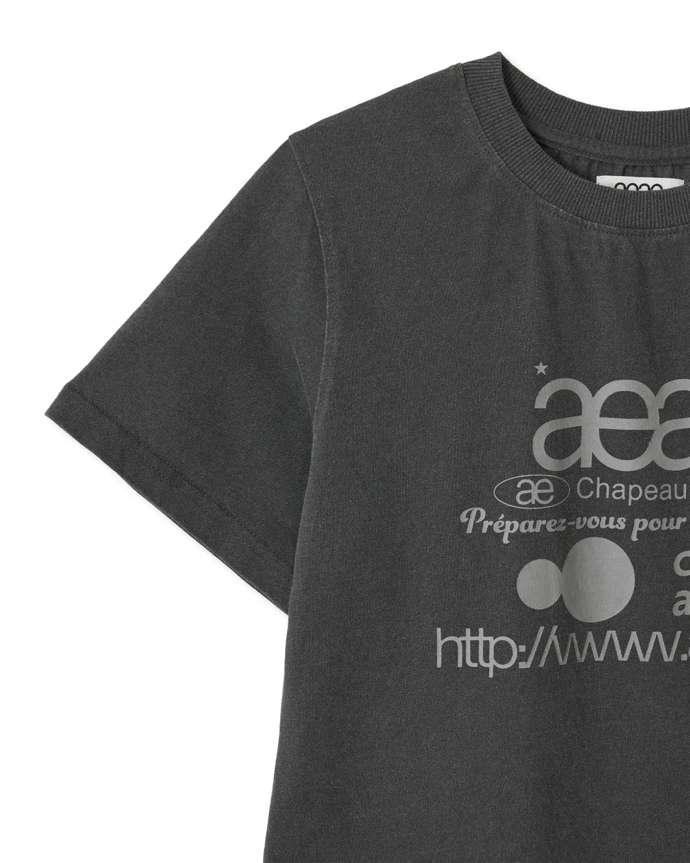 AEAE WEB LOGO CROP T-SHIRTS (CHARCOAL)