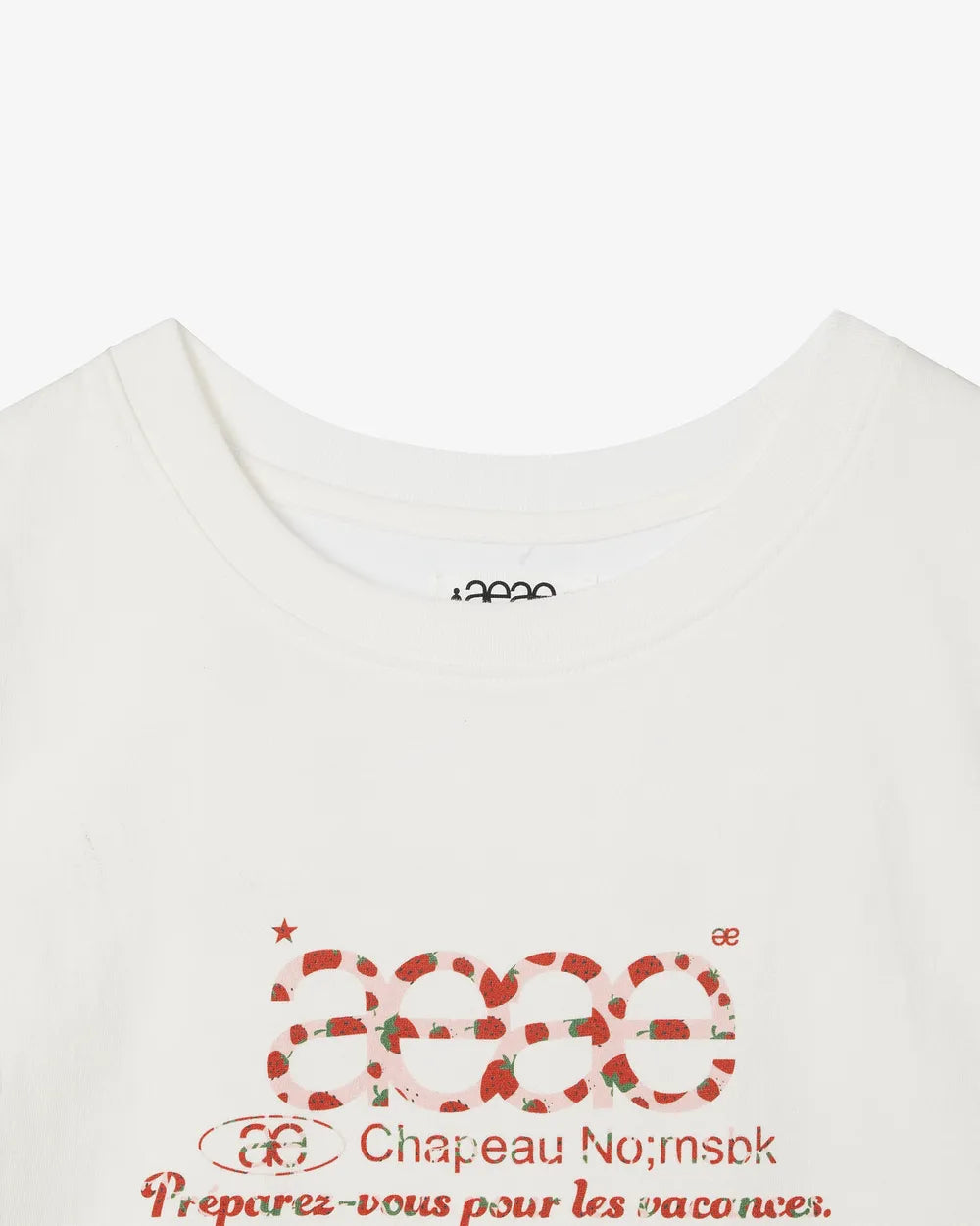 AEAE WEB LOGO CROP T-SHIRTS (STRAWBERRY)