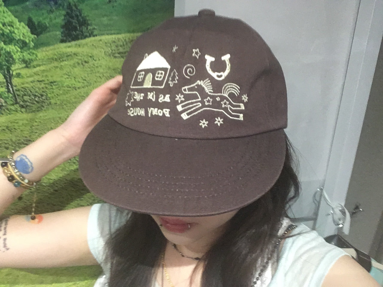 pony house cap (brown)