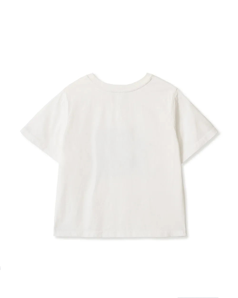 AEAE WEB LOGO CROP T-SHIRTS (WHITE)