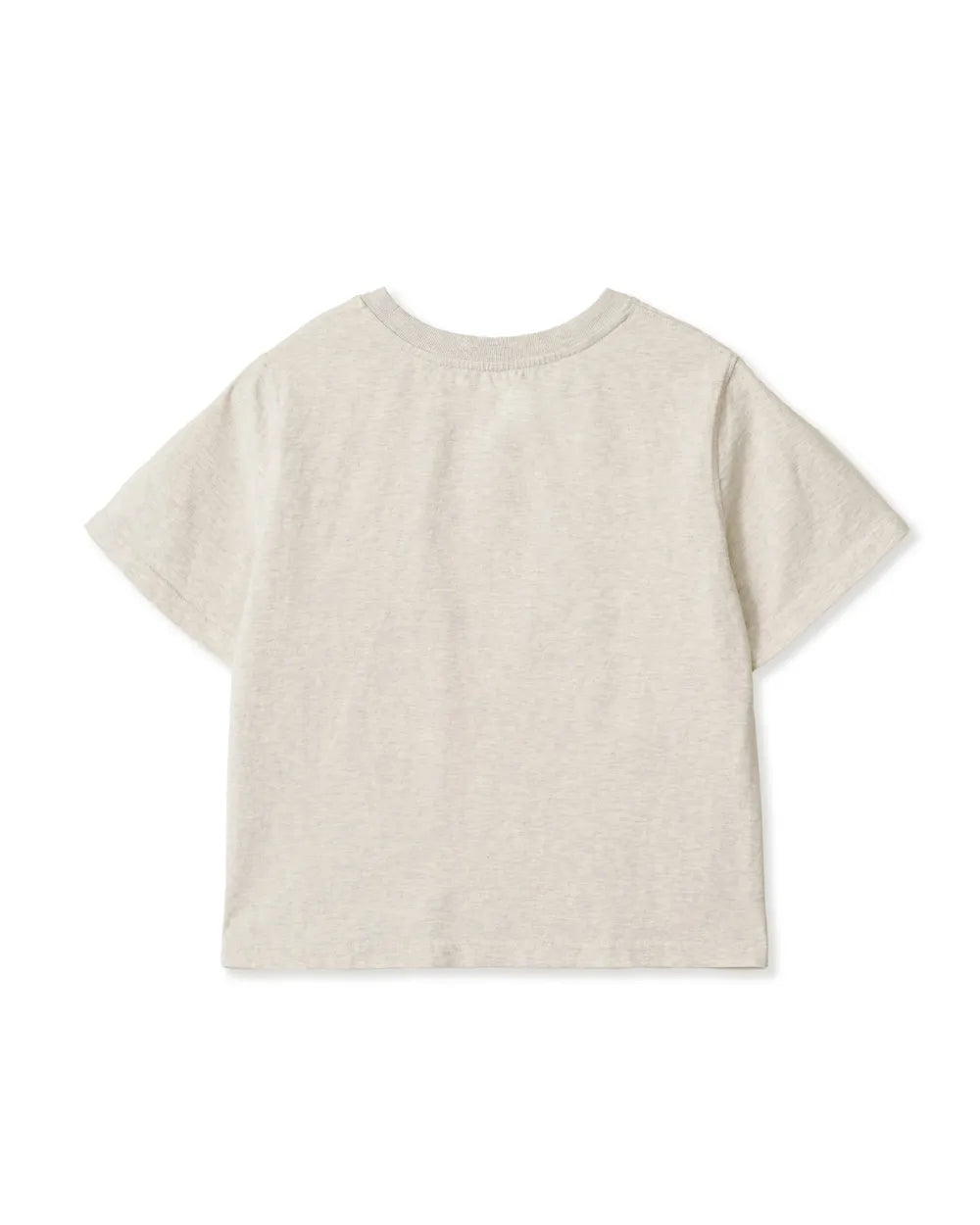 AEAE WEB LOGO CROP T-SHIRTS (OATMEAL)