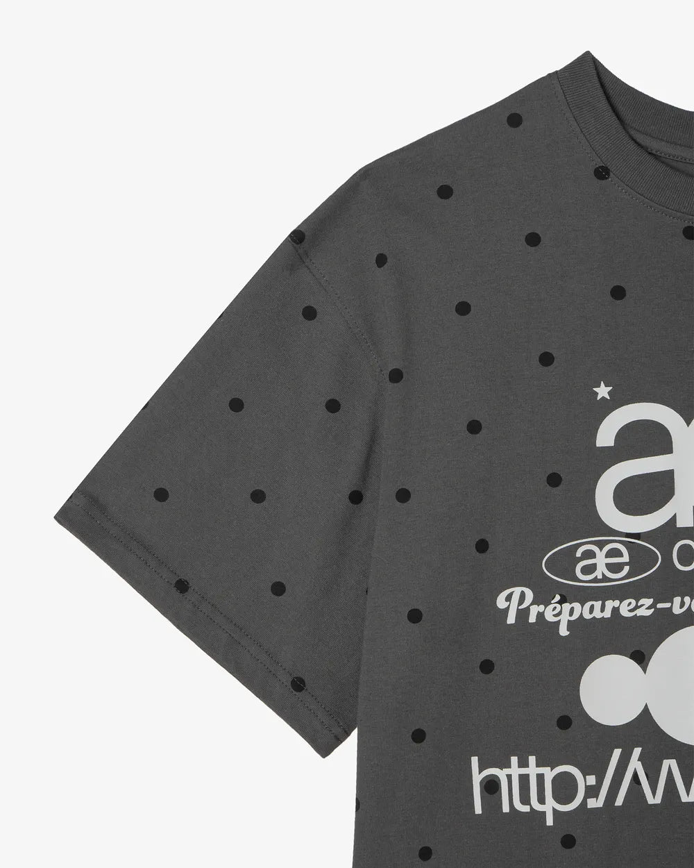 AEAE WEB LOGO DOT T-SHIRTS (CHARCOAL)