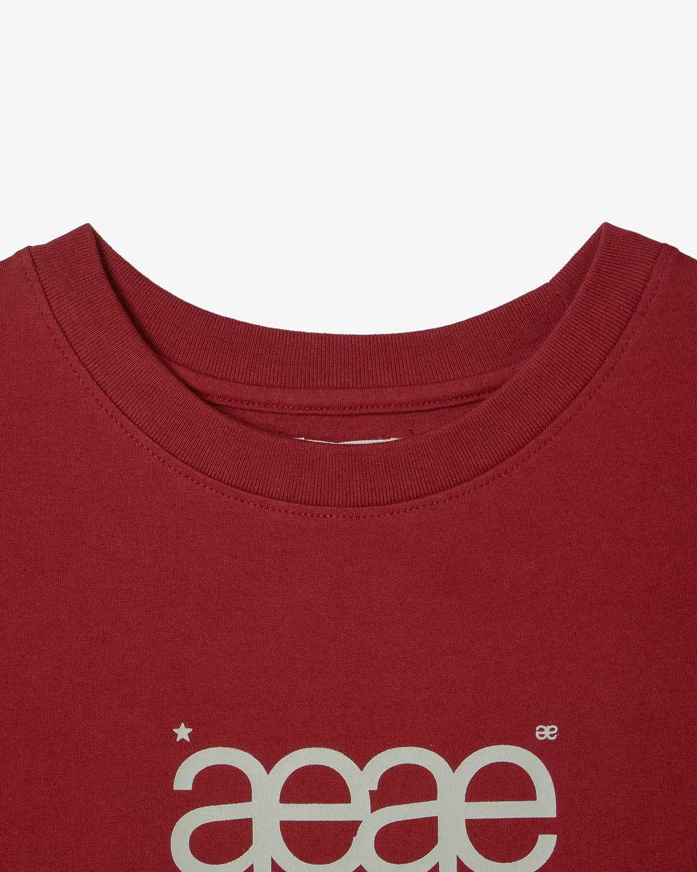 AEAE WEB LOGO CROP T-SHIRTS (BURGUNDY)