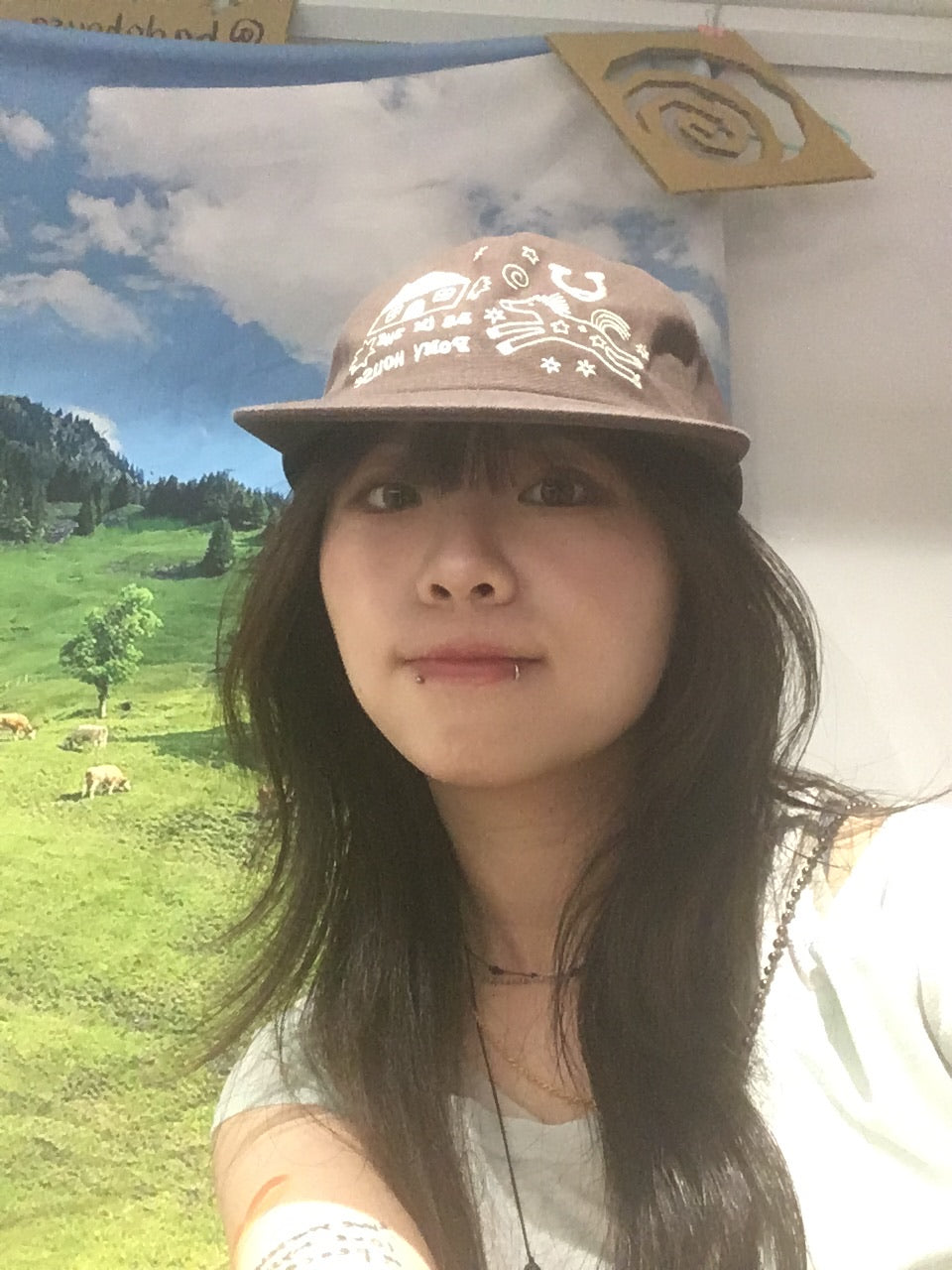 pony house cap (brown)