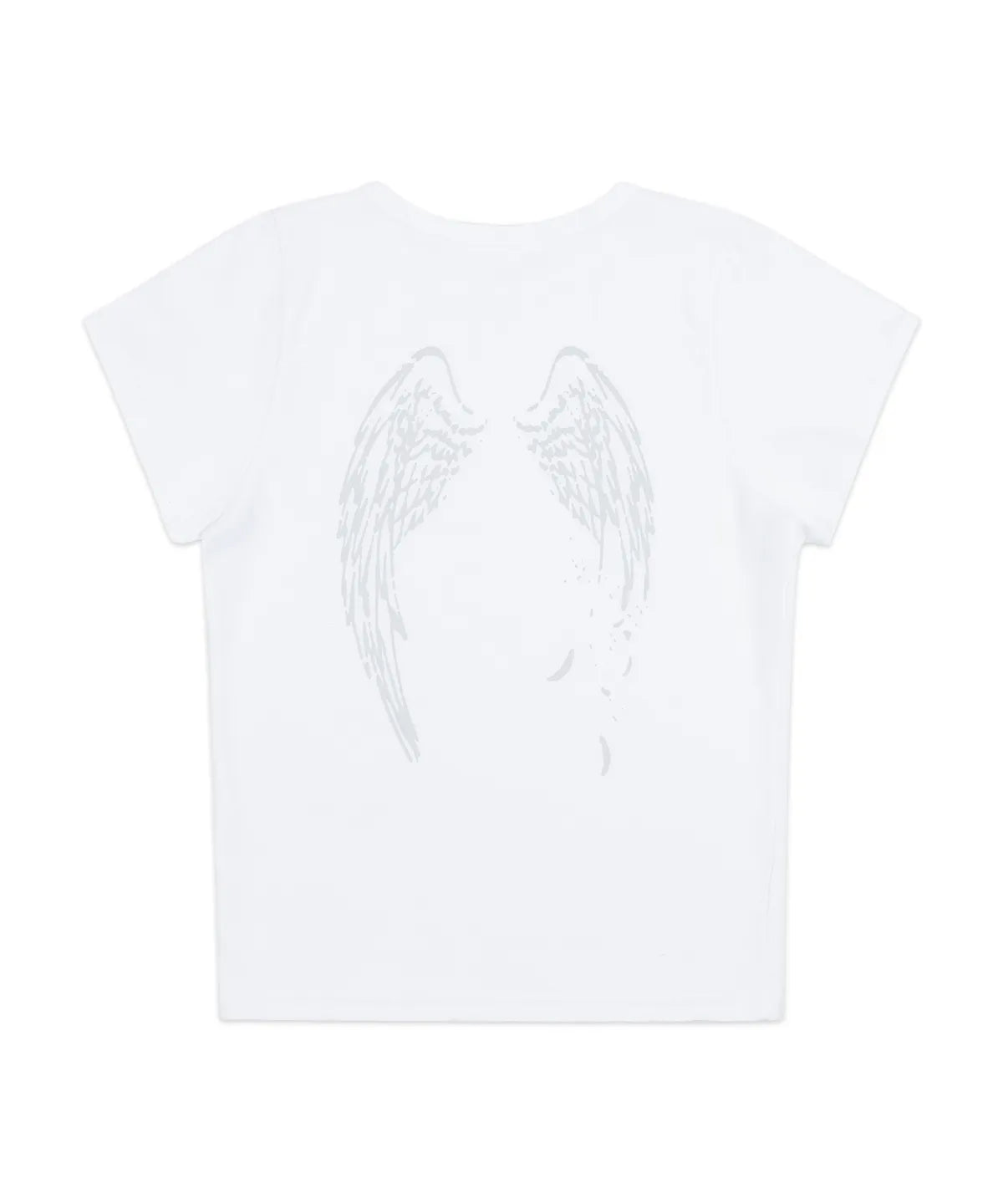 【𝘱𝘳𝘦-𝘰𝘳𝘥𝘦𝘳】FANCY CLUB Rivers of Heaven Crop Tee (GRAY)
