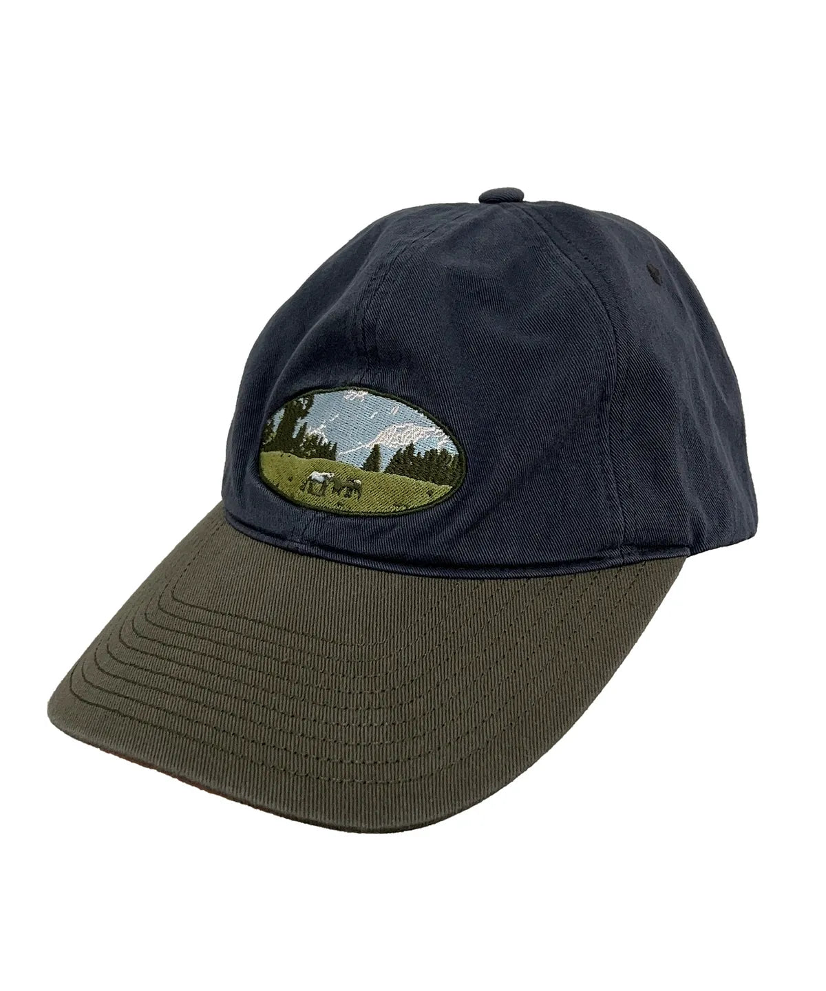 TCM filed cap (navy)