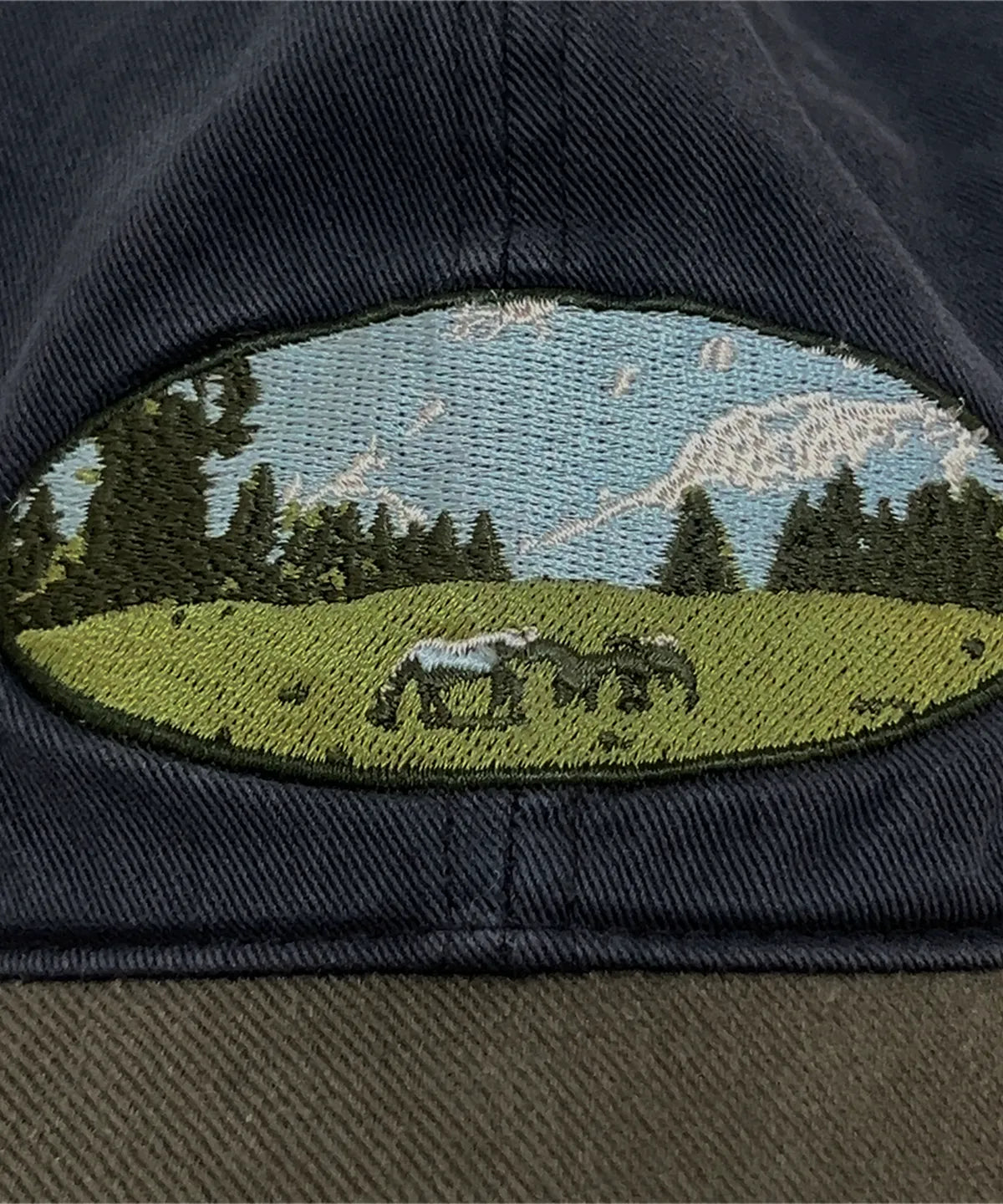 TCM filed cap (navy)