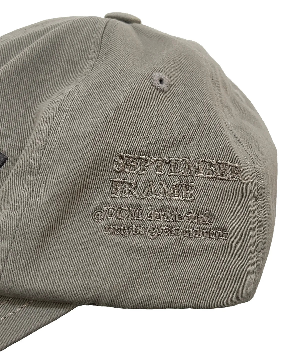 TCM frame cap (beige)