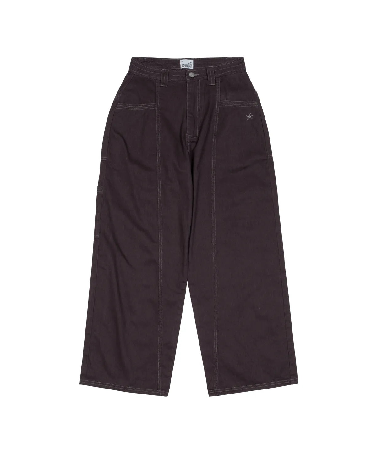 TCM stitch cargo pants (dark purple)