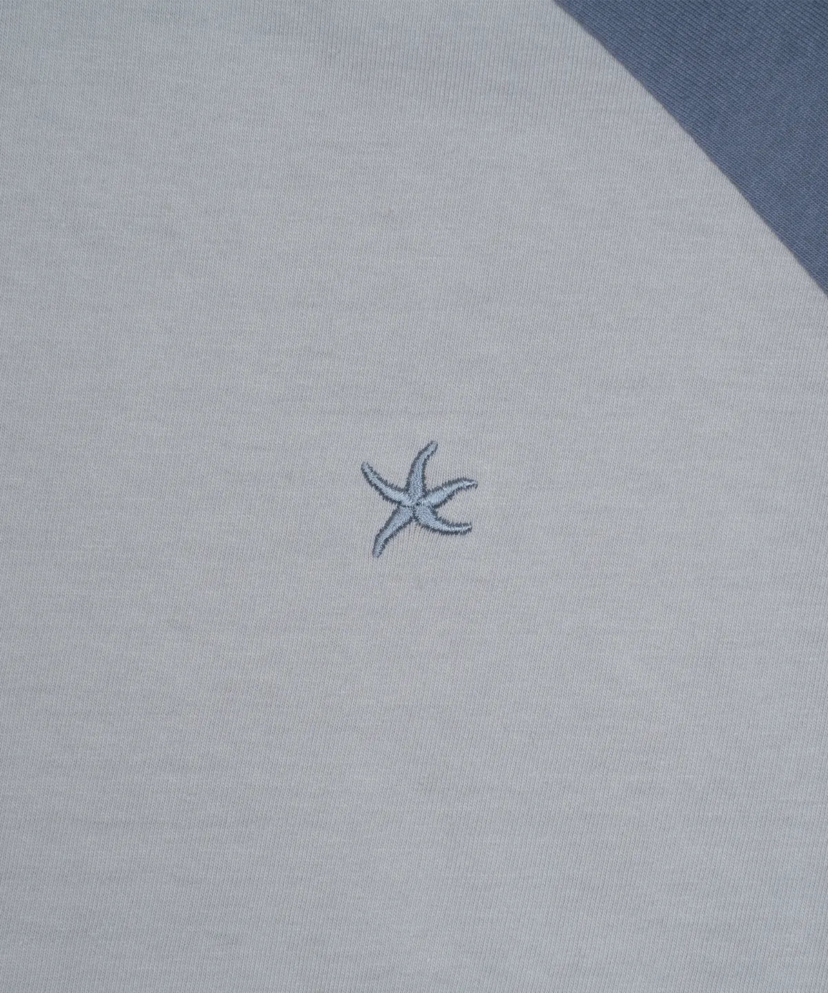 TCM mini logo raglan long sleeve (grey/blue)